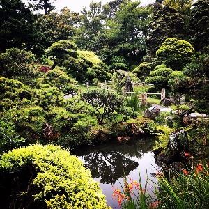 Japanese Tea Garden