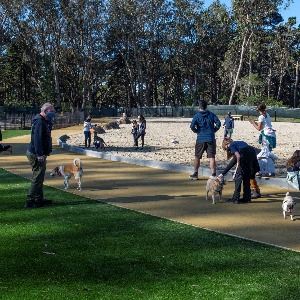 GGP Dog Training Area_32