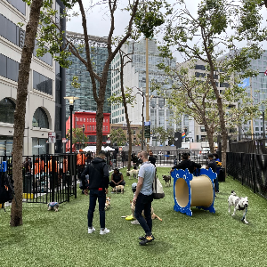 un plaza dog park