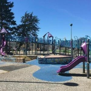 Crocker Amazon ACPA 1