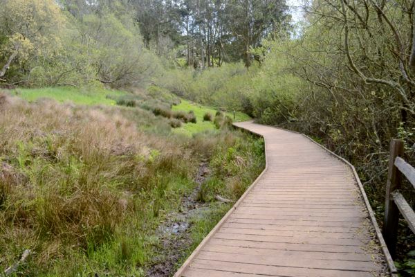 Creeks to Peaks Boardwalk
