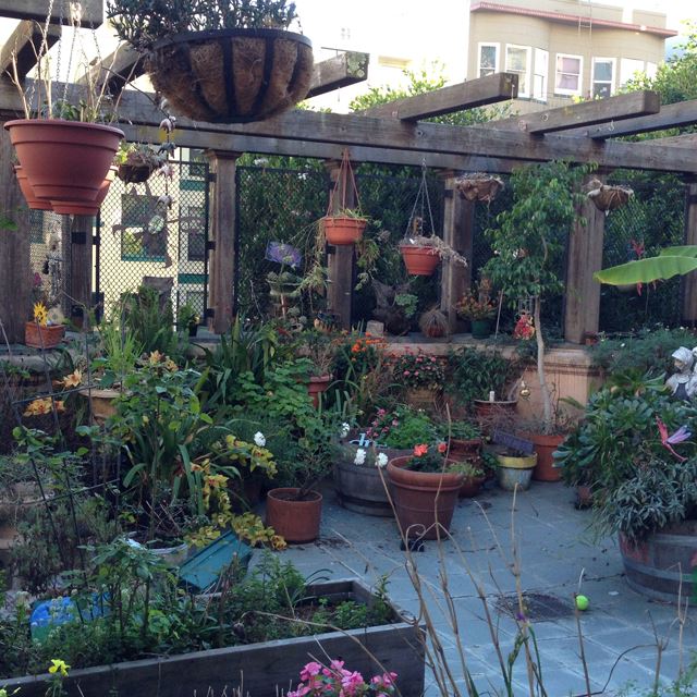 Enclosed outdoor garden with potted plants