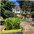 Adam Rogers Community Garden