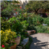 Page/Laguna Community Garden