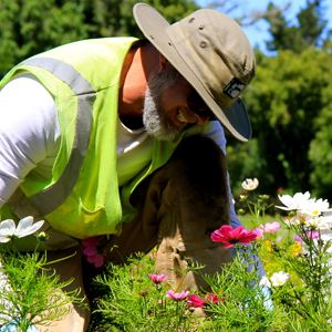 gardener in action