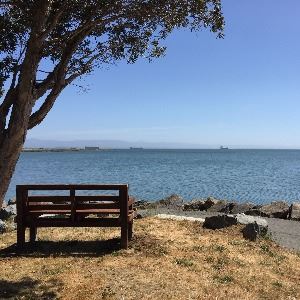 India Basin Shoreline Park