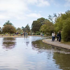 Louis Sutter Playground
