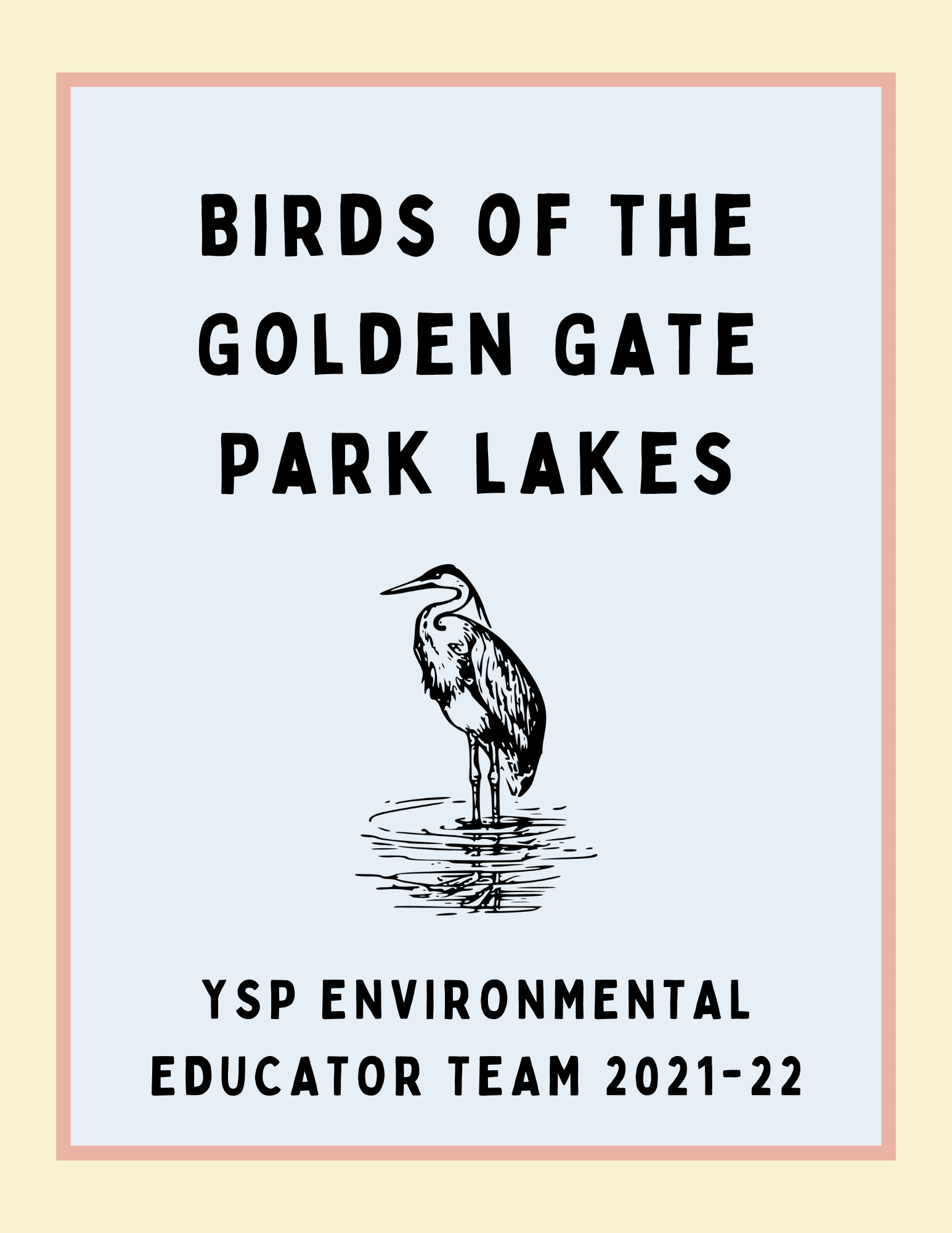 Birds of the Golden Gate Park Lakes - A bird guide Opens in new window