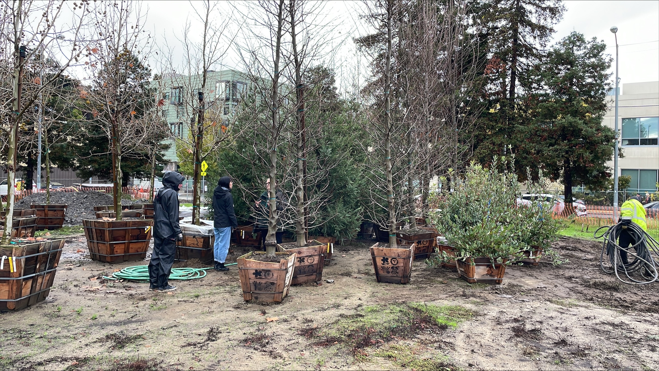 Esprit construction 2023 - Tree delivery 12.20.23