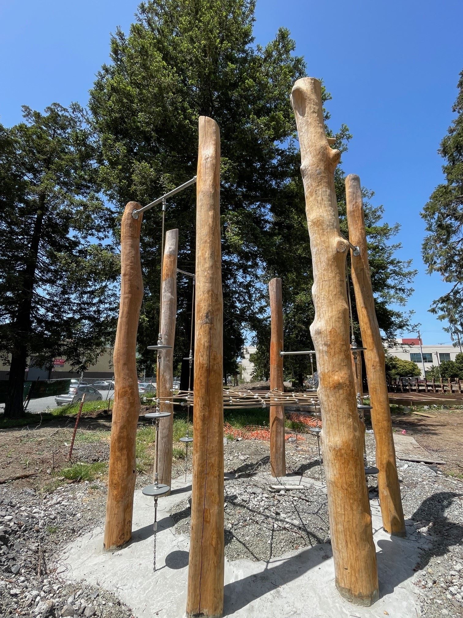 Adult Exercise Equipment 5.29.24