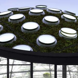 California Academy of Sciences