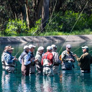 Group of fly fishers in the water