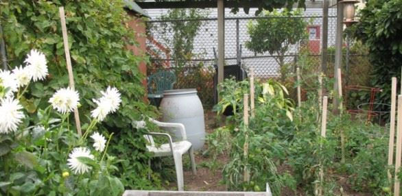 Arlington Community Garden