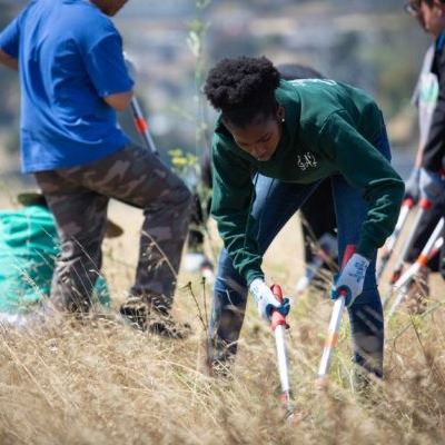 Lopping-fennel-600x400 Lopping-fennel-600x400